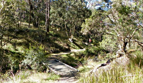 Wollomombi Walking Track - Attractions Melbourne 0