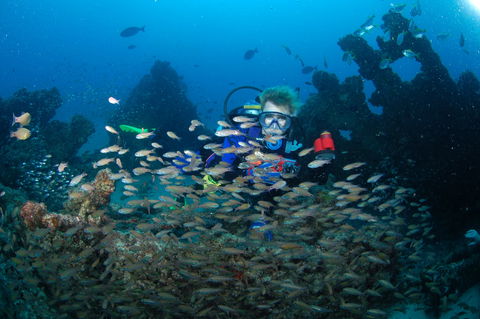 Aarhus Dive Site - Attractions Melbourne 0