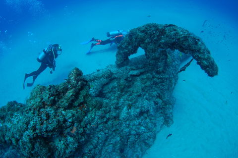 Aarhus Dive Site - Attractions Melbourne 1