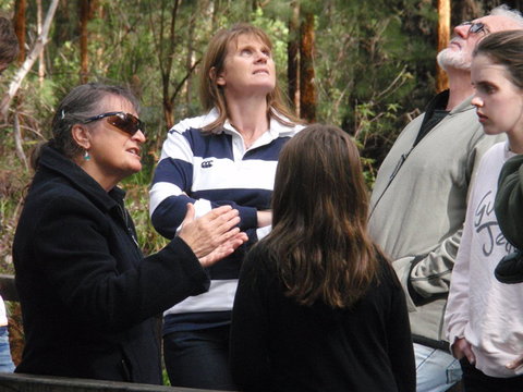 Ancient Empire Walk, Valley Of The Giants - Attractions Melbourne 1