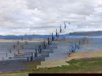Book Anglers Reach Accommodation Vacations Attractions Melbourne Attractions Melbourne