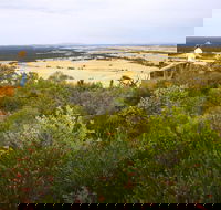 Archer Drive Scenic Drive and Lookout - Attractions Melbourne