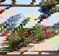 Australian Inland Botanic Gardens - Attractions Melbourne