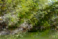 Berry Springs Nature Park
