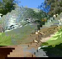 Big Murray Cod - Attractions Melbourne