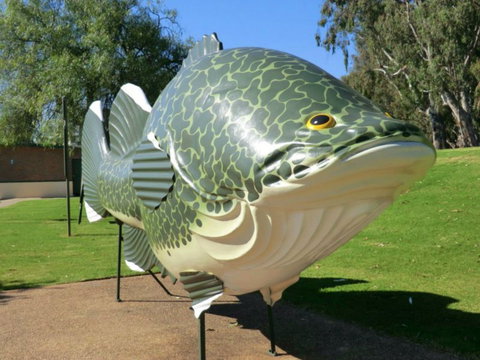 Big Murray Cod - Attractions Melbourne 0