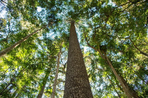 Big Sky National Parks - Attractions Melbourne 0