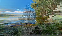 Black Oaks Picnic Area