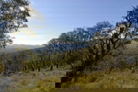 Bunyip State Park