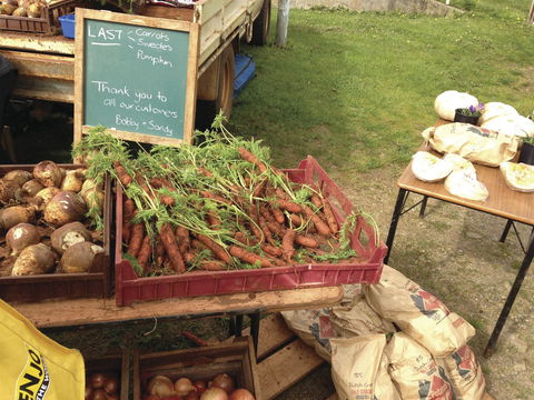 Burnie Farmers Market - Attractions Melbourne 0