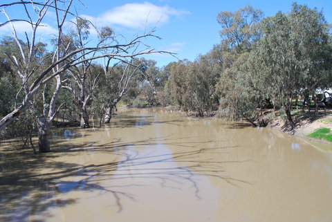 Bush Tucker Trail - Attractions Melbourne 0
