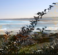 Cape Conran Coastal Park - Attractions Melbourne