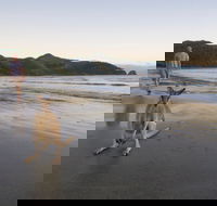 Cape Hillsborough National Park - Attractions Melbourne