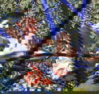 City Park - Attractions Melbourne