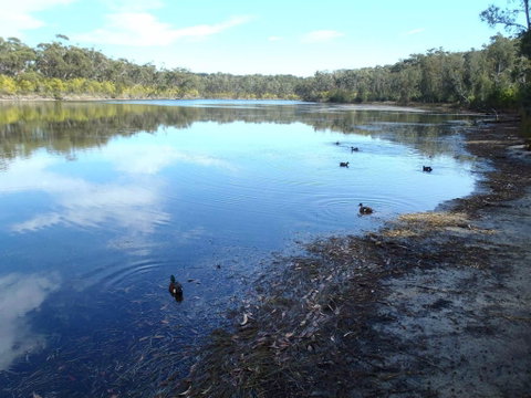 Conjola National Park - Attractions Melbourne 0
