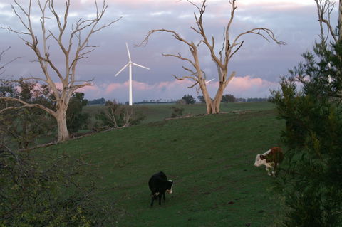 Crookwell Wind Farm - Attractions Melbourne 1