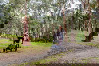 Currawong Bush Park