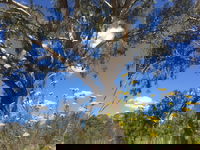 Euroa Arboretum