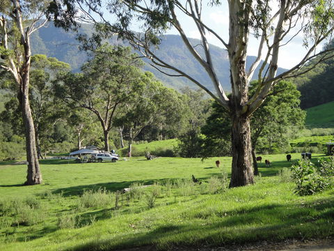 Georges Creek - Attractions Melbourne 1