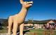 Glenreagh - thumb 1