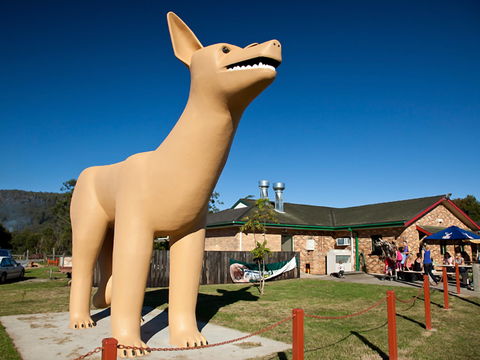 Glenreagh - Attractions Melbourne 1