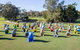 Hello Koalas Sculpture Trail - thumb 0