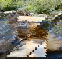 John Oxley Monument - Attractions Melbourne