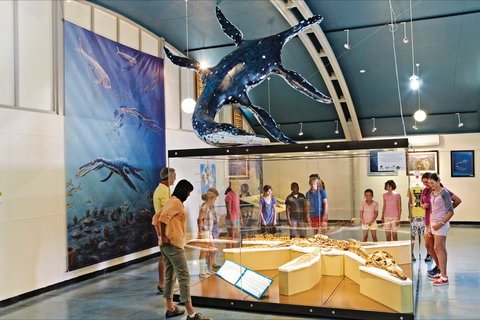 Kronosaurus Korner - Attractions Melbourne 2