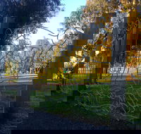 Mansfield Botanic Park - Attractions Melbourne