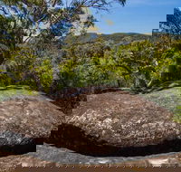 Marramarra Ridge to Smugglers Ridge walking track - Attractions Melbourne