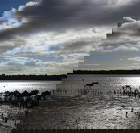 Marine Parade Hastings Foreshore Reserve Circuit - Cycling - Attractions Melbourne