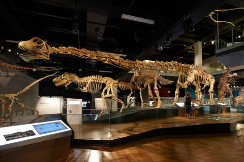 Melbourne Museum - Attractions Melbourne 1