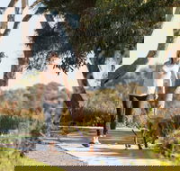 Meningie Walking and Cycling Trails - Attractions Melbourne