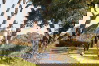 Meningie Walking and Cycling Trails