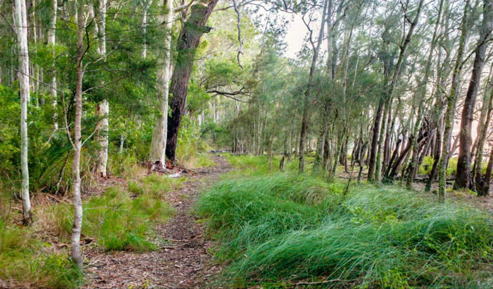  Attractions Melbourne