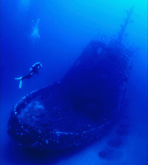 Merimbula Divers Lodge - Attractions Melbourne 0