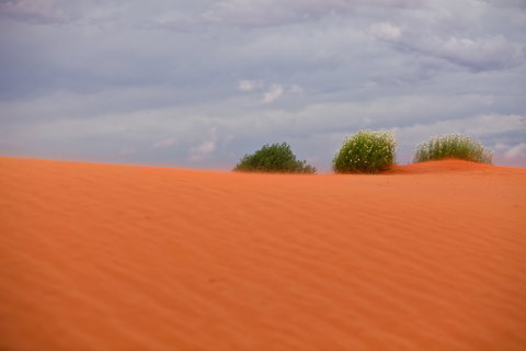 Munga-Thirri - Simpson Desert Conservation Park And Regional Reserve - Attractions Melbourne 0