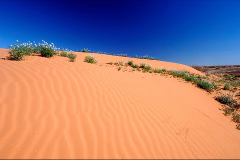 Munga-Thirri - Simpson Desert Conservation Park And Regional Reserve - Attractions Melbourne 1