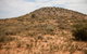 Munga-Thirri - Simpson Desert Conservation Park And Regional Reserve - thumb 2