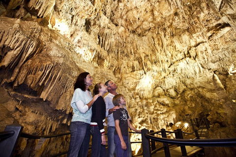 Ngilgi Cave - Attractions Melbourne 1