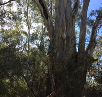 Northern Beaches - Attractions Melbourne