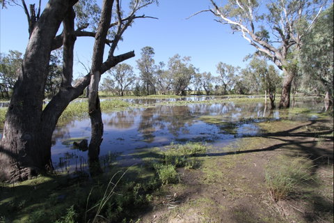 North Western Fishing Trail - Attractions Melbourne 2