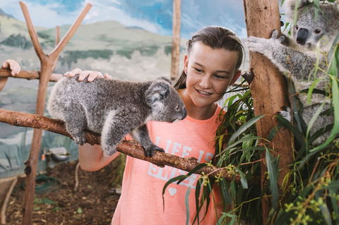 Oakvale Wildlife Park - Attractions Melbourne 0
