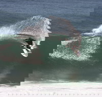 Old Bar - Attractions Melbourne