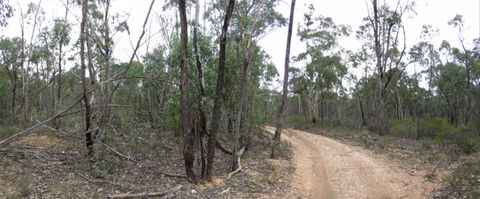 Paddys Ranges State Park - Attractions Melbourne 0