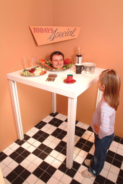 Phillip Island Experience - Attractions Melbourne 0