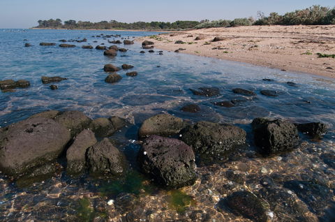Point Cook Marine Sanctuary - Attractions Melbourne 0