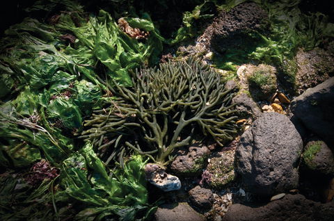 Point Cook Marine Sanctuary - Attractions Melbourne 2