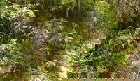 Powder Magazine walking track