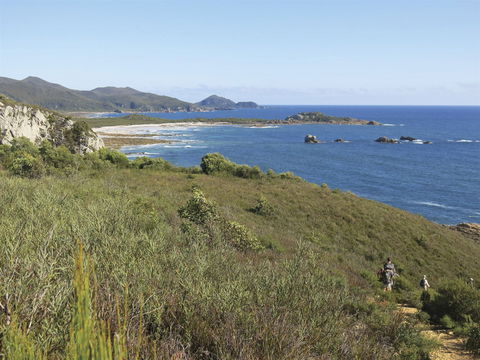 Rocky Cape National Park - Attractions Melbourne 1
